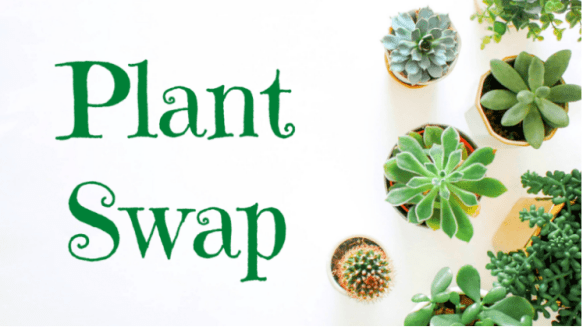 (photo credit wehoville)